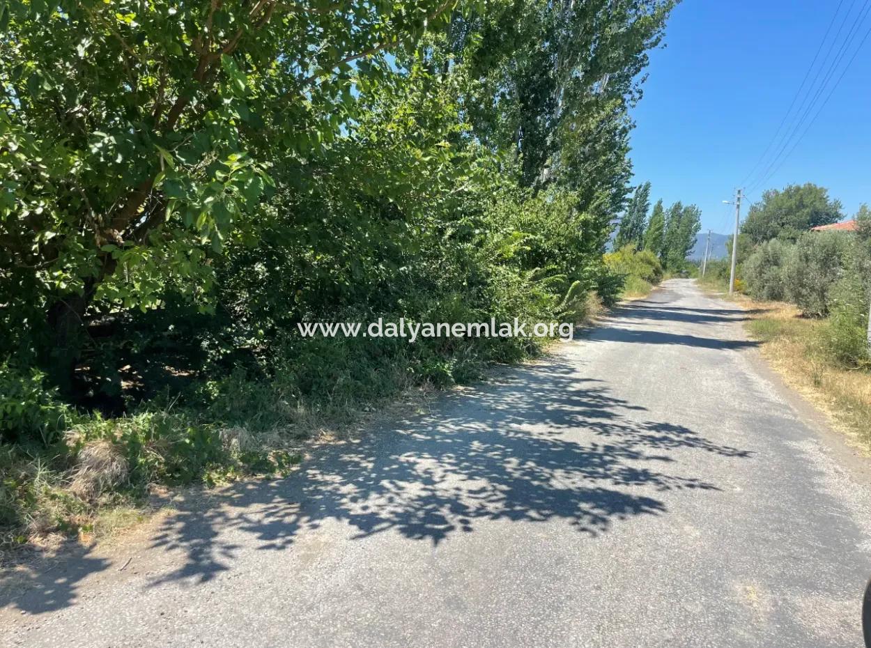 Tepearasın'da Yol Sıfır 6820M2 Nar Ve Limon Bahçesi Satılıktır