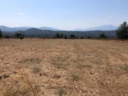 Köyceğiz Zeytinalanı'nda Göl Manzaralı 11.227M2 Satılık Arsa