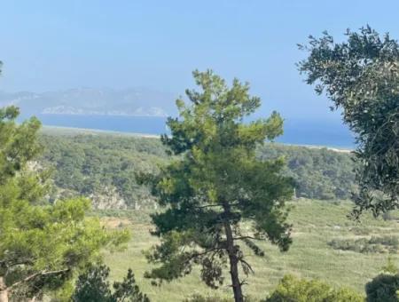 Sarıgerme'de Full Deniz Manzaralı 425M2 Satılık Arsa